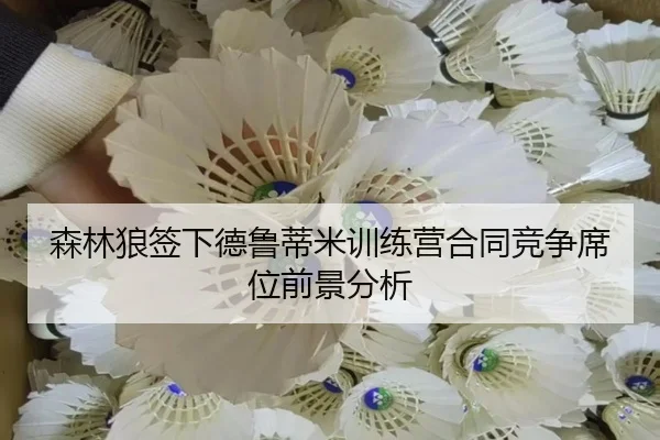 森林狼签下德鲁蒂米训练营合同竞争席位前景分析